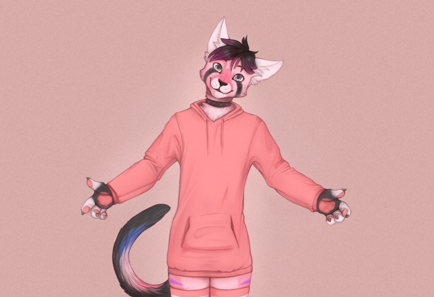 anthro clothing collar domestic_cat felid feline felis fur hi_res hoodie humanoid legwear male mammal nobuyukithecat paws pink_body pink_clothing pink_fur pink_hoodie pink_topwear solo thigh_highs topwear yshanii