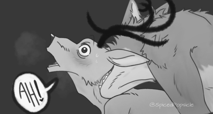 &lt;3 anthro beastars bite blush bodily_fluids breath canid canine canis cervid dialogue duo fur greyscale legoshi_(beastars) louis_(beastars) male male/male mammal monochrome neck_bite nude open_mouth predator/prey romantic_couple shoulder_tattoo speech_bubble spicedpopsicle surprise sweat tattoo teeth text wide_eyed wolf