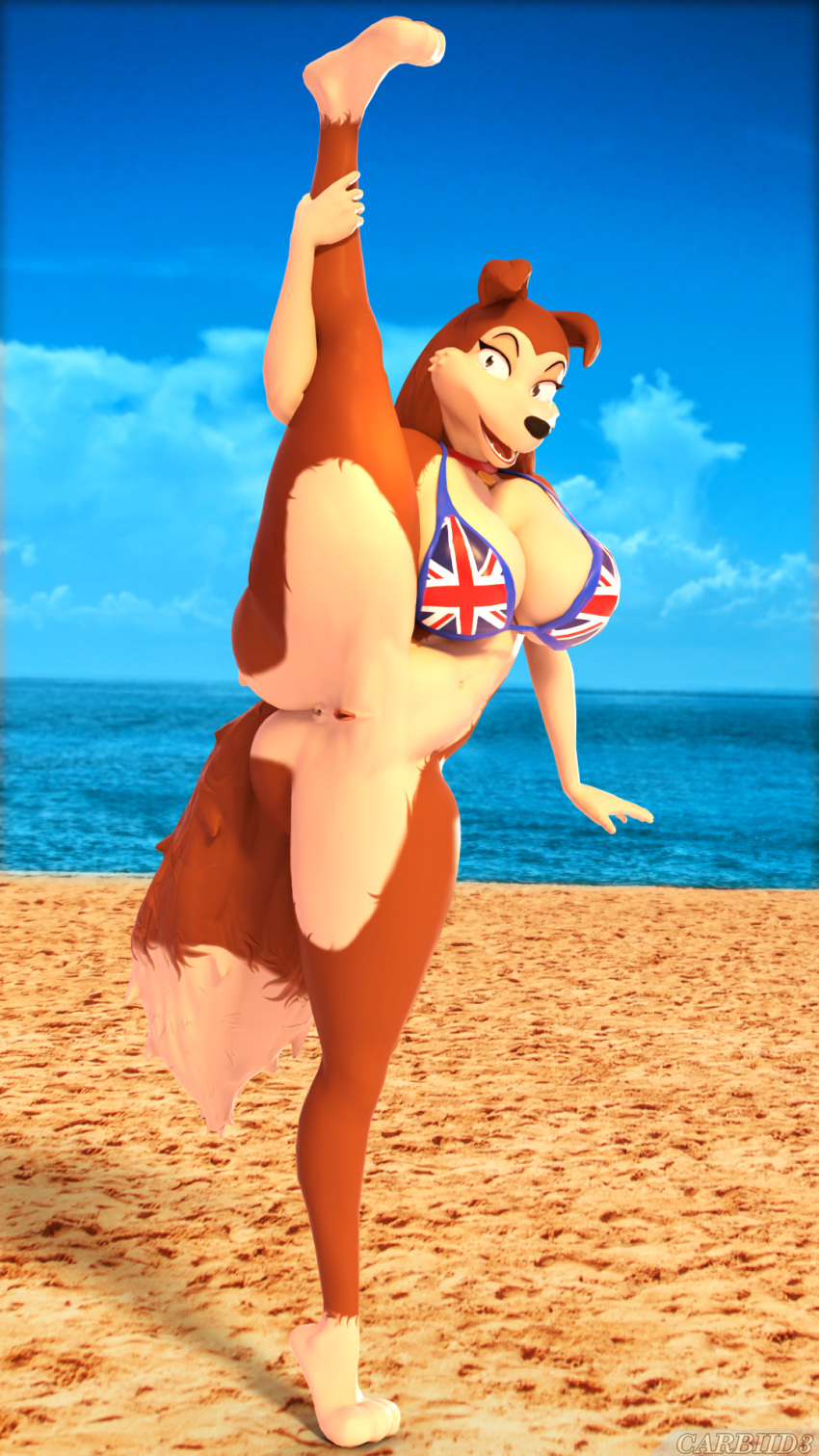 3_toes 3d_(artwork) 9:16 anthro anus beach big_breasts bikini bikini_top bottomless bra breasts brown_eyes canid canine canis carbiid3 cheek_tuft clothed clothing collar colleen collie digital_media_(artwork) dipstick_tail domestic_dog exhibitionism facial_tuft feet female flag_bikini flexible fur genitals gloves_(marking) hair herding_dog hi_res holding_leg leg_markings mammal markings multicolored_body multicolored_fur multicolored_tail navel on_one_leg one_leg_up open_mouth open_smile pastoral_dog pussy raised_leg road_rovers seaside sheepdog smile socks_(marking) solo splits spread_legs spreading standing swimwear tiptoes toes tuft two_tone_body two_tone_fur underwear vertical_splits wide_hips