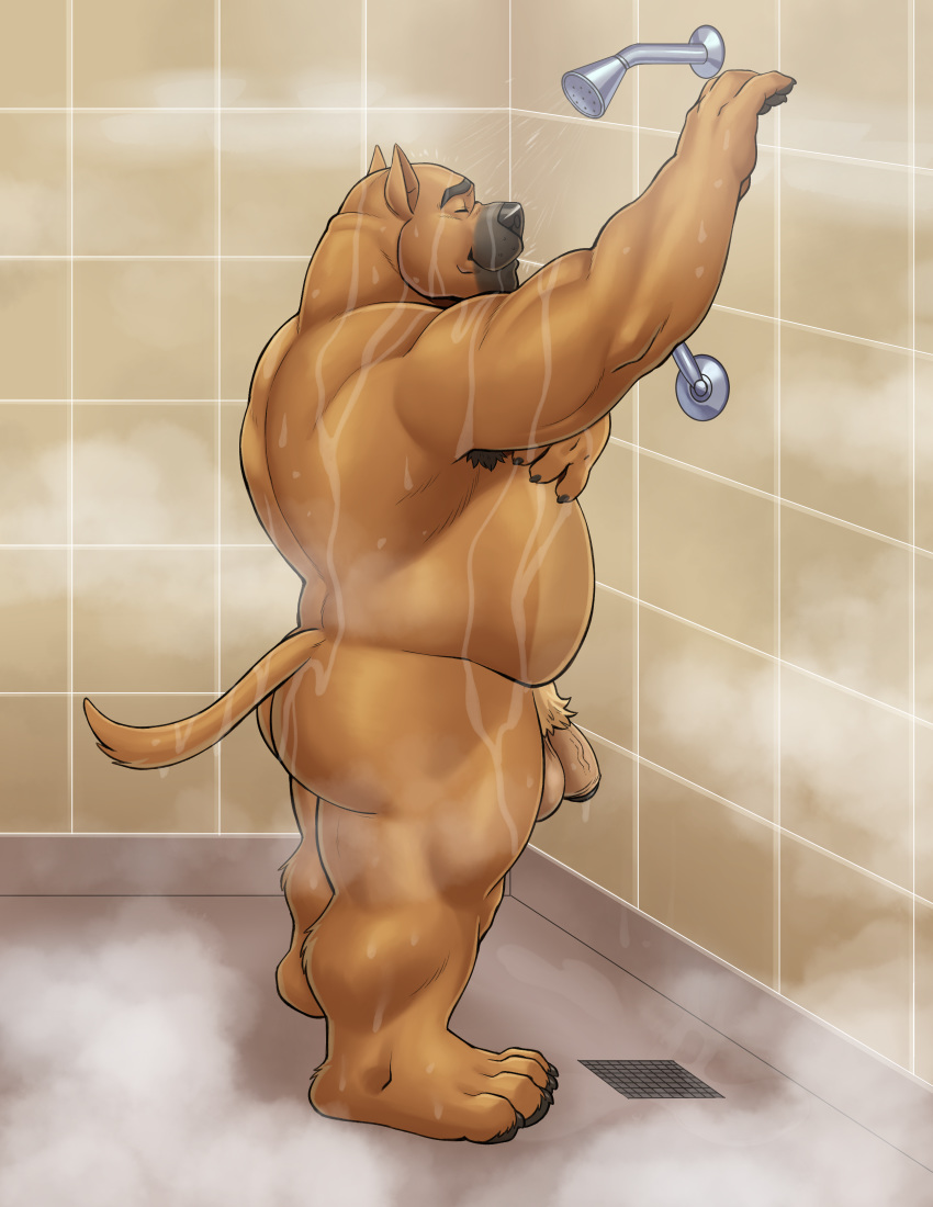 absurd_res adios anthro armpit_hair back_muscles balls bathing belly biceps big_balls big_butt black_muzzle black_nose body_hair brown_body brown_fur butt canid canine canis domestic_dog eyebrows eyes_closed foreskin fur genitals grate hi_res male mammal musclegut muscular muscular_anthro muscular_male nude overweight overweight_anthro overweight_male penis pit_bull pj_(pittiepj) pubes shower showering slightly_chubby smile solo steam stocky tan_body tan_fur thick_neck thick_penis thick_thighs uncut wet wet_body wet_fur