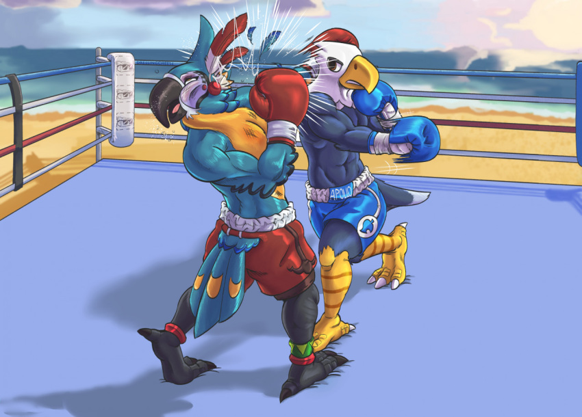 2020 4_toes accessory accipitrid accipitriform animal_crossing anisodactyl anthro apollo_(animal_crossing) avian beach beak bird bird_feet black_beak blue_body blue_feathers boxing boxing_gloves boxing_trunks breath_of_the_wild brown_eyes bruised clothing dcheese digital_media_(artwork) duo eagle feathers fighting_ring furgonomics handwear kass_(tloz) male nintendo punch rito seaside sport the_legend_of_zelda toes video_games white_body white_feathers yellow_beak yellow_body yellow_eyes yellow_feathers