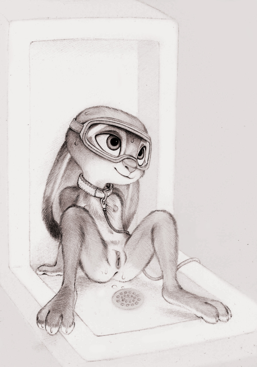 3_toes anthro anus bathroom clitoral_hood clitoris collar dipstick_ears disney ears_down erect_clitoris erect_nipples eyewear female flat_chested fuchs genitals goggles hi_res judy_hopps lagomorph leash leporid mammal monochrome multicolored_ears nipples nude pivoted_ears presenting presenting_pussy public_restroom public_use pussy rabbit reclining sitting sketch solo spread_legs spreading toes traditional_media_(artwork) urinal zootopia