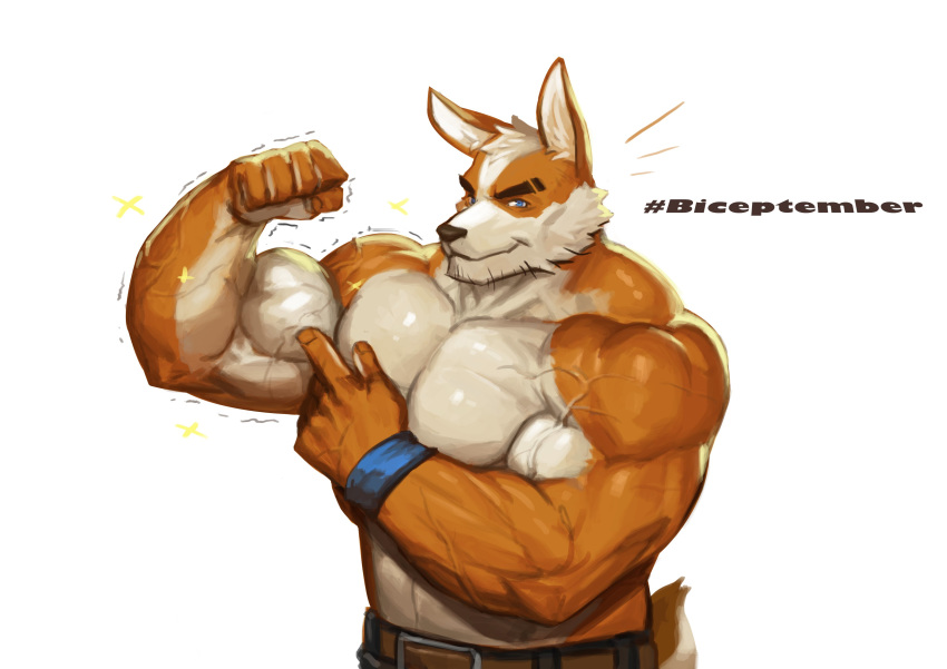 2020 5_fingers absurd_res anthro belt biceps big_muscles black_nose blue_eyes bottomwear brown_body brown_fur canid canine canis clothing domestic_dog eyebrows fingers flexing fur hair half-length_portrait herding_dog hi_res humanoid_hands male mammal multicolored_body multicolored_fur muscular muscular_anthro muscular_male pants pastoral_dog portrait simple_background solo sparkles stubble thick_eyebrows traver009 two_tone_body two_tone_fur veiny_muscles welsh_corgi white_background white_body white_fur white_hair wristband