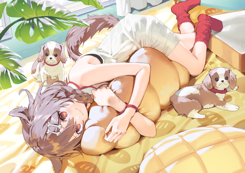 1girl :3 animal animal_ears bangs bare_arms bare_shoulders bed bone_hair_ornament bracelet braid brown_eyes brown_hair cartoon_bone chocolate_cornet closed_mouth commentary dog dog_ears dog_girl dog_tail dress eyebrows_visible_through_hair food hair_between_eyes hair_ornament highres hololive inugami_korone jewelry long_hair looking_at_viewer lying misoni_comi no_shoes object_hug on_bed on_side pillow pillow_hug red_legwear sleeveless sleeveless_dress socks solo symbol_commentary tail twin_braids virtual_youtuber white_dress