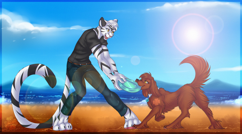 absurd_res anthro ariveil beach bird_dog black_body black_fur brown_body brown_fur canid canine canis claws clothed clothing collar detailed_background domestic_dog duo fangs felid female feral fluffy fluffy_tail frisbee fur hair hi_res holding_object hunting_dog male mammal multicolored_body multicolored_fur muscular muscular_anthro muscular_male one_eye_closed open_mouth open_smile pantherine playing retriever seaside smile teeth tiger tongue two_tone_body two_tone_fur white_body white_fur white_hair yellow_eyes