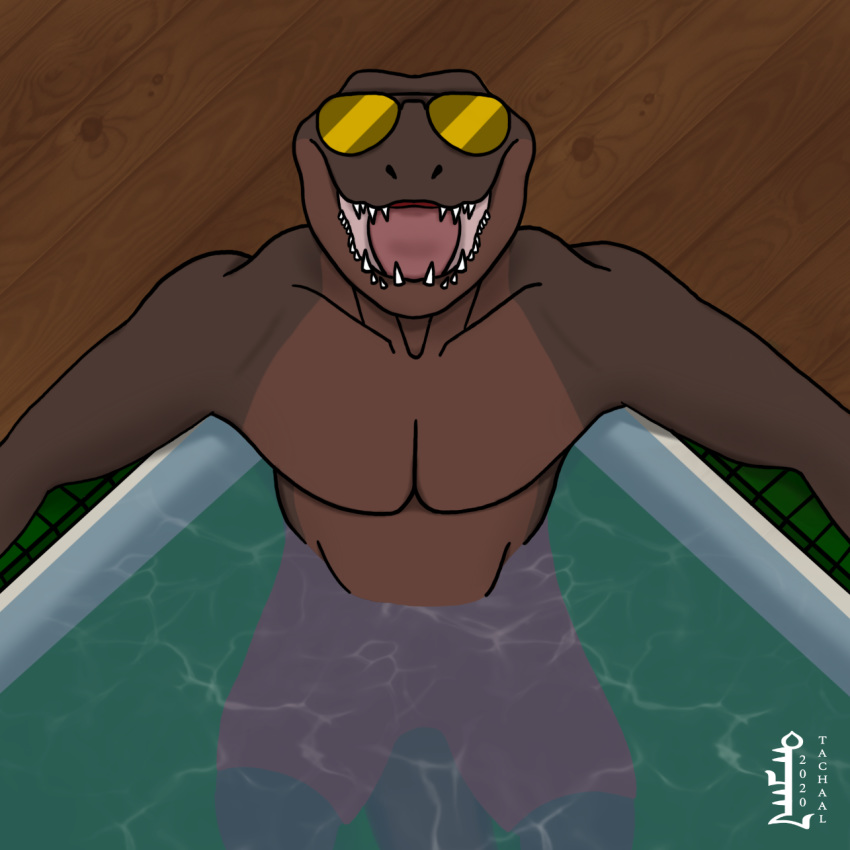 1:1 aetius_(character) alligator alligatorid anthro crocodilian eyewear hi_res hot_tub male male/male outside reptile scalie solo sunglasses tachaal water