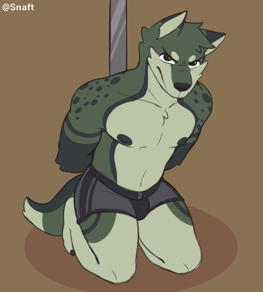 angry anthro arms_tied bound bulge canid canine clothing fur fur_markings hi_res kneeling looking_at_viewer male mammal markings nipples pole snaftfc solo underwear unnatural_colors