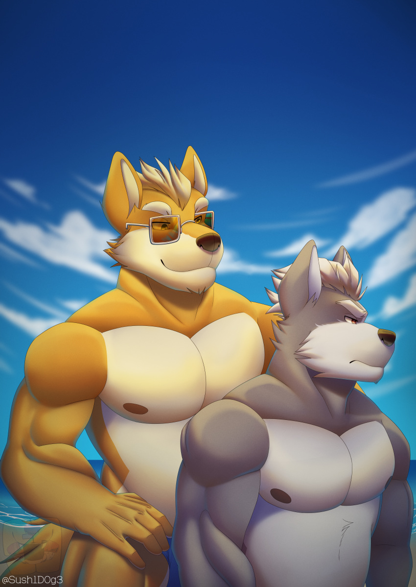 absurd_res anthro canid canine canis duo fox hi_res male mammal nintendo star_fox sush1d0g3 video_games wolf wolf_o'donnell