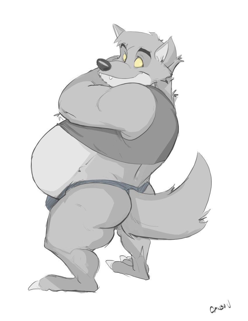 2020 absurd_res anthro belly big_belly bulge butt canid canine canis canson claws clothing cute_fangs fur grey_body grey_fur hi_res jockstrap looking_back male mammal overweight overweight_anthro overweight_male plantigrade shirt simple_background smile solo topwear underwear white_background wolf