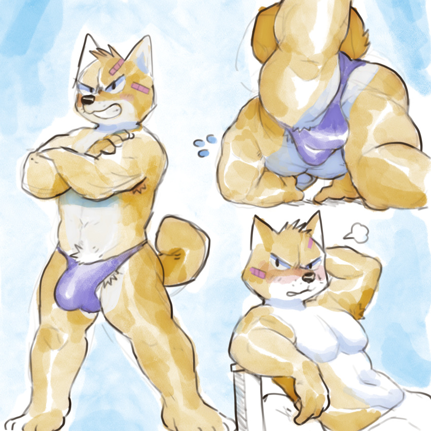 &lt;3 1:1 anthro armpit_hair blushed body_hair bulge butt canid canine canis clothing domestic_dog glitter_trap_boy hi_res male mammal muscular muscular_anthro muscular_male shiba_inu short_stack solo spitz underwear