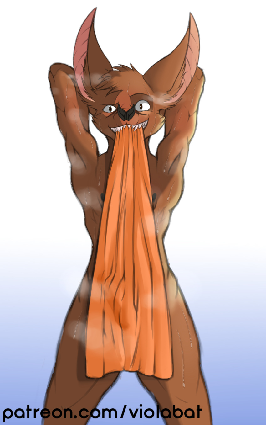 abstract_background absurd_res anthro athletic athletic_anthro athletic_male bodily_fluids brown_body brown_fur bulge chiropteran clenched_teeth felid fur genital_outline hands_behind_head hi_res hybrid looking_at_viewer male mammal musk nipples penis_outline solo sweat teeth towel viola_bat viola_bat_(character)