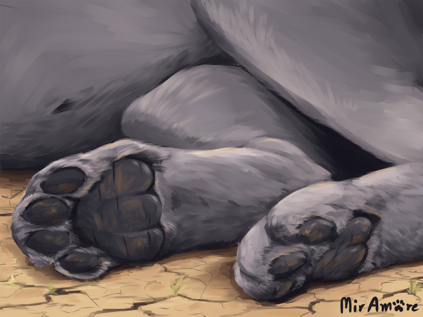 4:3 ambiguous_gender cracked_ground felid feral foot_focus footprint fur grey_body grey_fur grey_pawpads hi_res lion lying mammal miramore navel on_side outside pantherine pawpads pawprint paws signature solo toes worn_pawpads