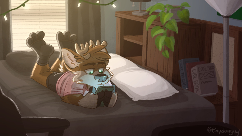 16:9 anthro bedroom black_bottomwear black_clothing black_legwear black_pants black_socks bottomwear brown_body brown_fur cellphone cervid clothing darwin_(tinydeerguy) footwear fur green_eyes hi_res legwear male mammal pants phone pillow pink_clothing pink_shirt pink_topwear plant shirt socks solo tinydeerguy topwear widescreen