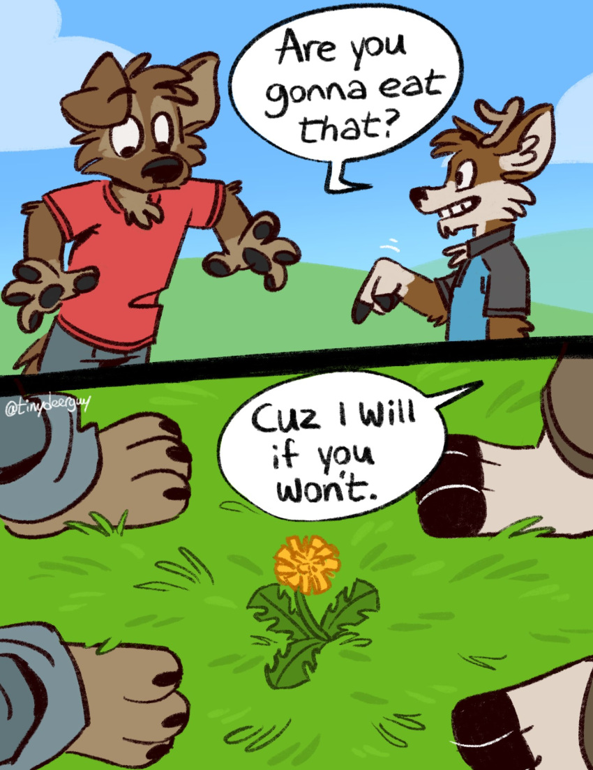 anthro barefoot black_clothing black_shirt black_topwear blue_clothing blue_shirt blue_sky blue_topwear canid canine canis cervid clothing comic darwin_(tinydeerguy) dialogue domestic_dog duo english_text flower gesture grass hi_res male mammal matt_riskely open_mouth outside plant pointing pointing_down polo_shirt red_clothing red_shirt red_topwear shirt sky t-shirt teeth_showing text tinydeerguy topwear