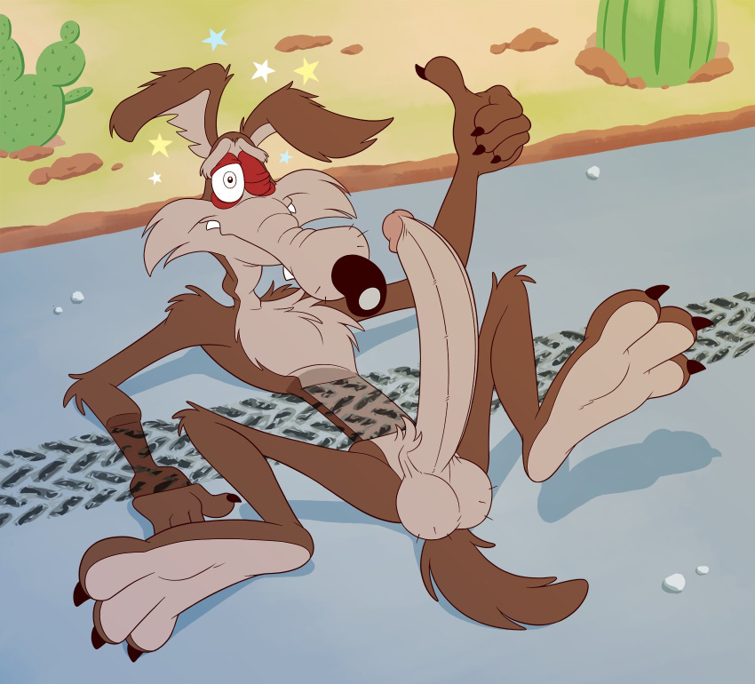 anti_dev balls cactus canid canine canis cartoon_physics coyote desert feet genitals gesture hi_res humanoid_genitalia humanoid_penis long_penis looney_tunes male mammal penis road run_over solo star thumbs_up tire_marks warner_brothers wile_e._coyote