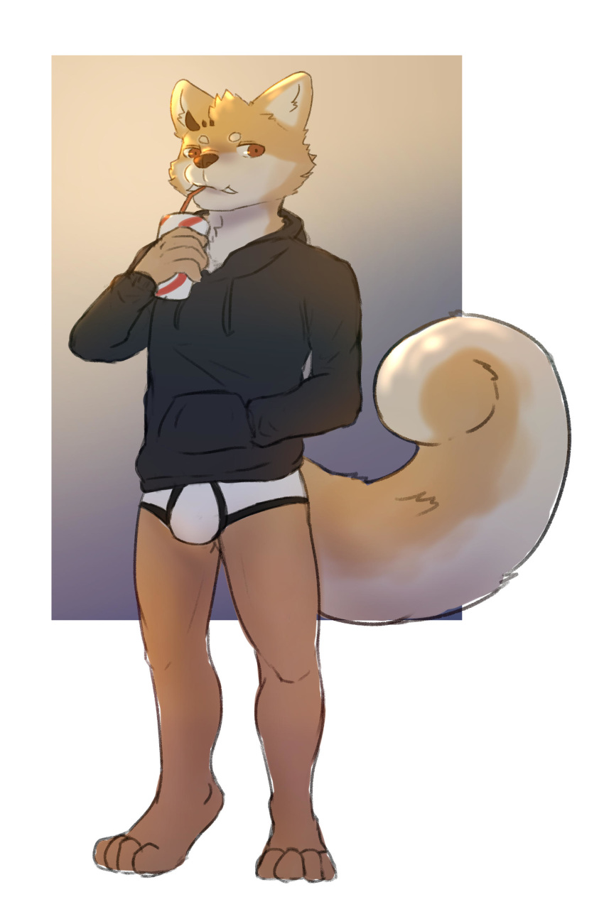 absurd_res anthro black_clothing black_hoodie black_topwear briefs bulge canid canine canis clothing dbyizhen domestic_dog drawyourfursona drinking hi_res hoodie hoodie/briefs_meme male mammal meme meme_clothing simple_background solo standing topwear underwear white_clothing white_underwear