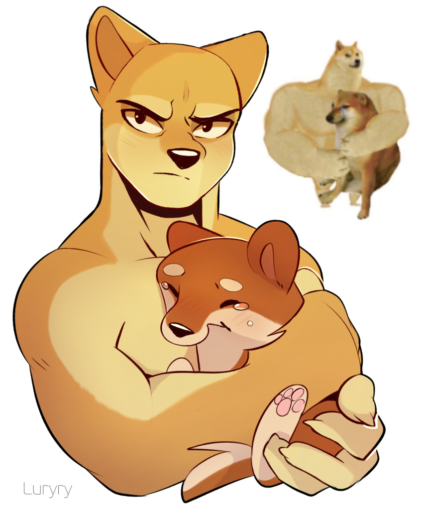 2020 anthro bodily_fluids canid canine canis cheems doge dogelore domestic_dog duo feral hi_res humor luryry male mammal meme shiba_inu simple_background spitz tears white_background