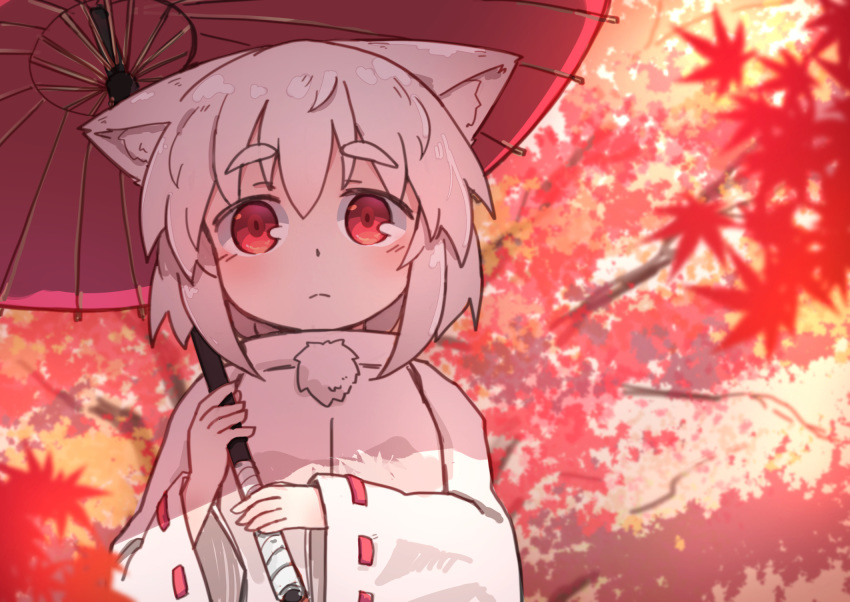 1girl animal_ear_fluff animal_ears autumn_leaves bangs blurry blurry_background blurry_foreground day depth_of_field eyebrows_visible_through_hair hair_between_eyes highres holding holding_umbrella inubashiri_momiji jacket kibisake leaf long_sleeves looking_at_viewer maple_leaf oriental_umbrella outdoors red_eyes red_umbrella ribbon-trimmed_sleeves ribbon_trim silver_hair sleeves_past_wrists solo thick_eyebrows touhou tree_branch two-handed umbrella upper_body white_jacket wide_sleeves wolf_ears