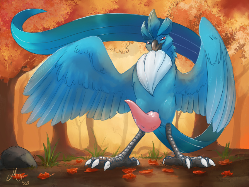 2020 4:3 animal_genitalia animal_penis articuno autumn avian beak big_penis bird black_beak blue_body blue_feathers cetacean_penis erection feather_tuft feathers feral forest genitals grass hi_res leaf legendary_pok&eacute;mon looking_at_viewer magpi male nature nintendo outside penis pok&eacute;mon pok&eacute;mon_(species) presenting presenting_penis red_eyes rock signature solo standing talons tapering_penis tree tuft video_games