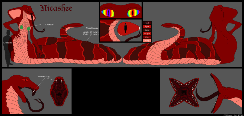 absurd_res anaconda apode boa_(snake) boinae cobra coiling draconcopode fangs herm hi_res hypnosis intersex mind_control model_sheet naga nalothisal_(artist) nicashee open_mouth reptile scales scalie serpentine sheet_(disambiguation) snake snek solo tail_maw titanoboa vampire vore