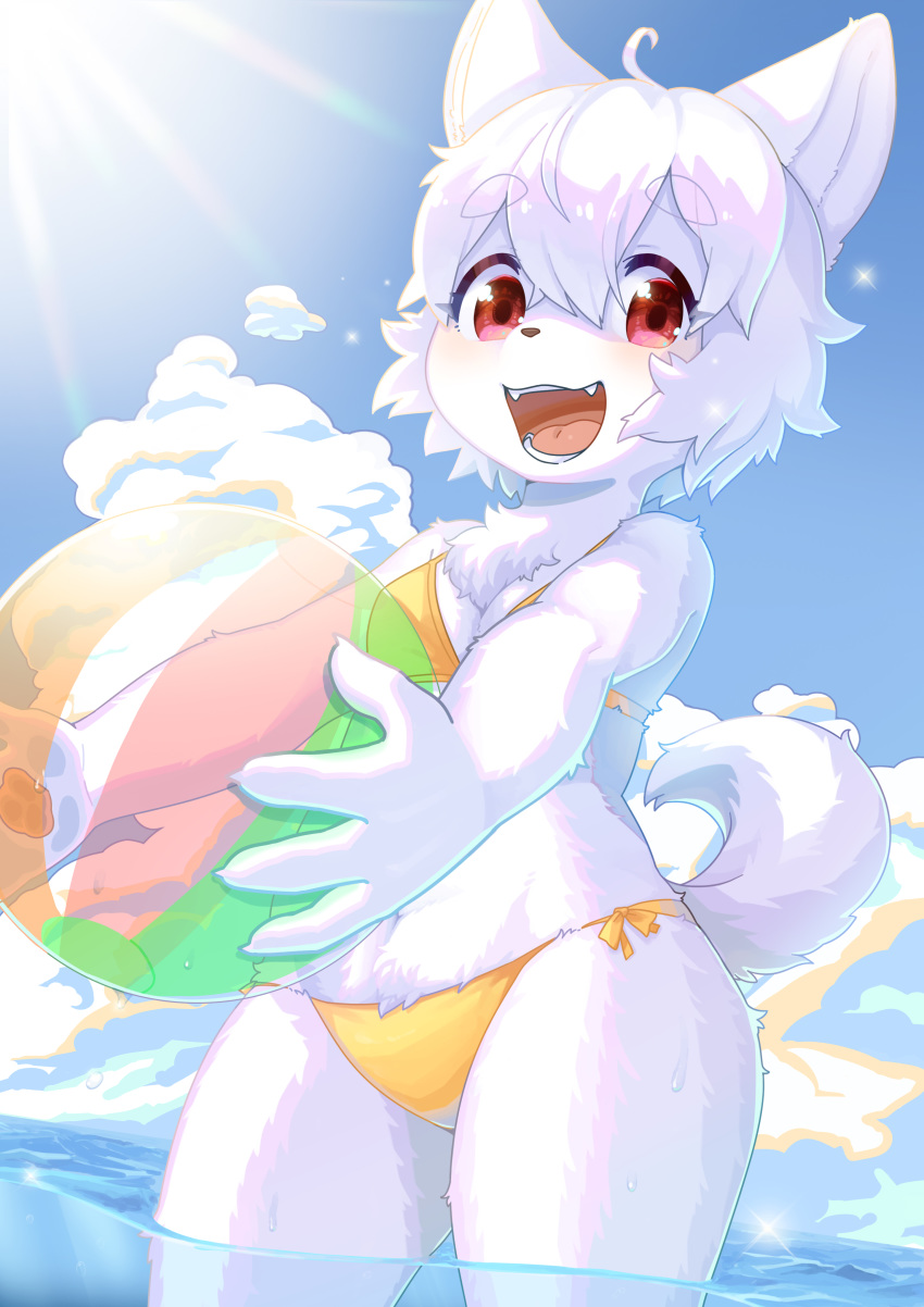 2020 4_fingers 848siba absurd_res ahoge albino anthro ball beach_ball bikini blush breasts brown_nose canid canine canis chest_tuft claws clothing cloud cute_fangs domestic_dog female fingers fluffy fluffy_tail fur hair happy hi_res holding_object kemono lens_flare looking_at_viewer mammal open_mouth outside partially_submerged pawpads portrait red_eyes sea short_hair side-tie_bikini sky small_breasts smile solo swimwear teeth three-quarter_portrait tongue tuft water wet white_body white_ears white_fur white_hair white_tail yellow_bikini yellow_clothing yellow_swimwear