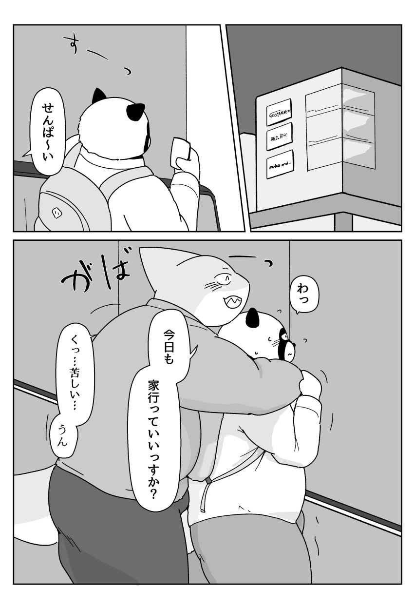 2020 absurd_res anthro belly blush bonedra border bottomwear canid canine clothing duo fish hi_res hug hugging_from_behind japanese_text kemono male male/male mammal marine monochrome overweight overweight_male pants raccoon_dog shark shirt tanuki text topwear translation_request white_border