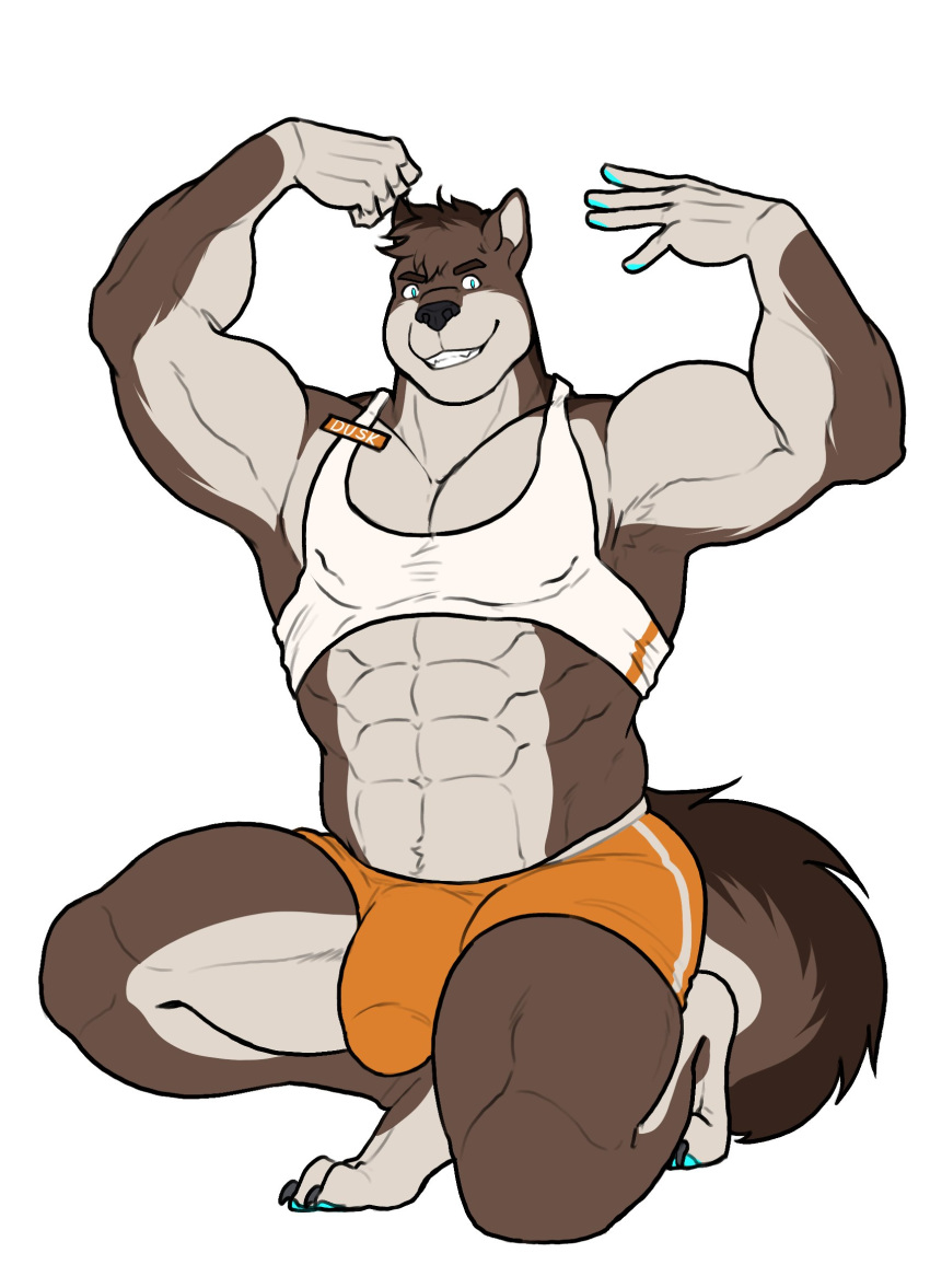 2020 abs anthro barefoot biceps biped black_nose blue_eyes blue_pawpads bottomwear brown_body brown_fur bulge canid canine canis clothing crop_top crouching domestic_dog flexing fluffy fluffy_tail fur grin hi_res highlights_(coloring) himbo himbo_hooters husky kneeling male mammal multicolored_body multicolored_fur muscular muscular_anthro muscular_male name_tag nipple_outline nordic_sled_dog orange_bottomwear orange_clothing orange_shorts pawpads pecs pinup plantigrade pose purpledragonrei shirt shorts simple_background smile solo spitz tank_top topwear two_tone_body two_tone_fur two_tone_tail were werecanid werecanine weredog white_background white_body white_fur