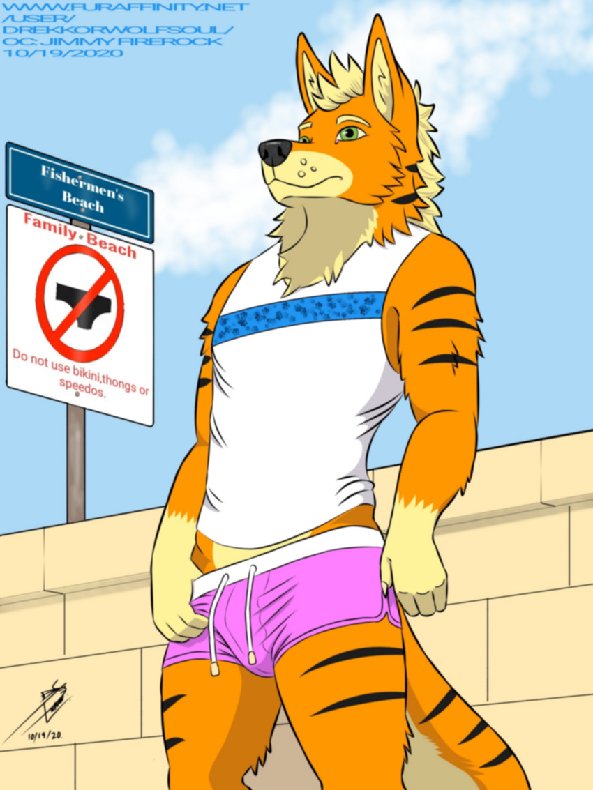 3:4 absurd_res anthro bottomwear canid canine canis clothing domestic_dog drekkorwolfsoul hi_res male mammal shorts solo swimming_trunks swimwear