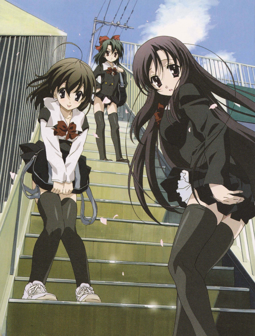 3girls absurdres bag black_eyes black_hair boots bow brown_eyes brown_hair cherry_blossoms everyone hair_ornament highres katsura_kotonoha kiyoura_setsuna long_hair looking_at_viewer multiple_girls official_art red_bow red_eyes saionji_sekai scan school_bag school_days school_uniform shoes short_hair skirt skirt_lift smile sneakers stairs thigh_boots thighhighs tongue trio uniform upskirt