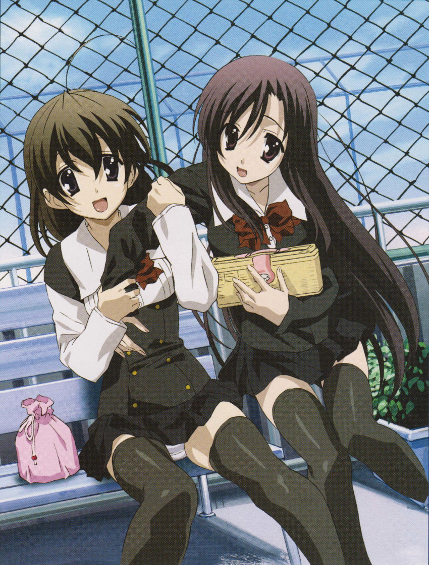 2girls absurdres ahoge black_eyes black_hair brown_eyes brown_hair highres katsura_kotonoha lingerie long_hair looking_at_viewer multiple_girls official_art open_mouth panties saionji_sekai scan school_days school_uniform short_hair sitting smile thighhighs thighs underwear uniform zettai_ryouiki