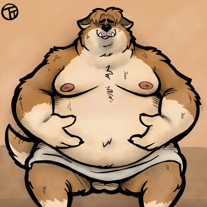 1:1 2020 anthro balls belly bodily_fluids brown_body brown_fur canid canine canis eyes_closed fur genitals hi_res male mammal monster_smash moobs nipples overweight overweight_anthro overweight_male sitting solo sweat towel trashtoonz wolf