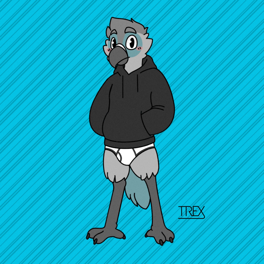 1:1 anthro avian bird black_clothing black_hoodie black_topwear briefs bulge clothing drawyourfursona hi_res hoodie hoodie/briefs_meme male meme meme_clothing simple_background solo standing topwear trex_arts underwear white_clothing white_underwear