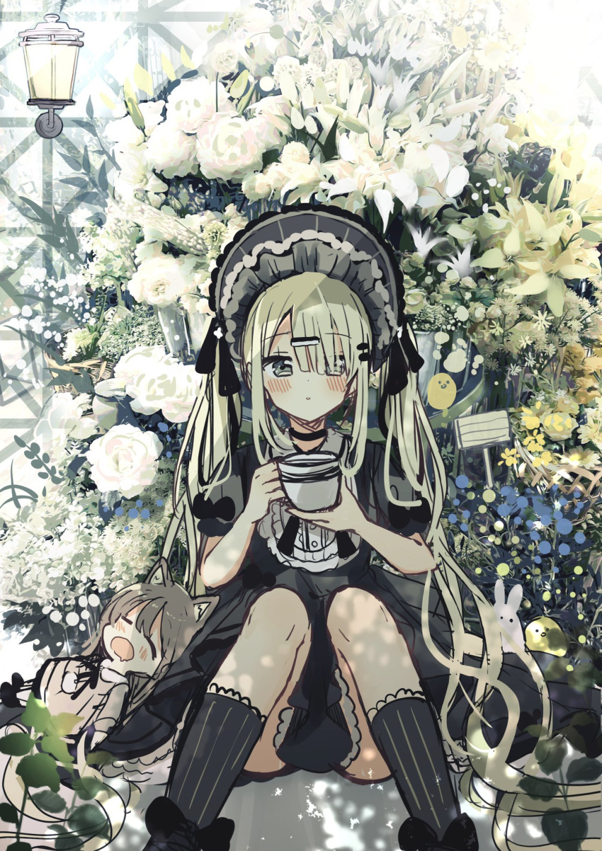 2girls :o animal bird black_dress black_headwear black_legwear blush bonnet brown_dress brown_hair bunny chick closed_eyes commentary_request cup dress drooling feet_out_of_frame flower gothic_lolita green_eyes green_hair hair_ornament hair_over_one_eye hairclip highres holding holding_cup knees_together_feet_apart knees_up lolita_fashion long_hair looking_at_viewer minigirl mouth_drool multiple_girls open_mouth original parted_lips puffy_short_sleeves puffy_sleeves rose sakura_oriko short_sleeves sitting sleeping socks striped striped_legwear vertical-striped_legwear vertical_stripes very_long_hair wall_lamp white_flower white_rose