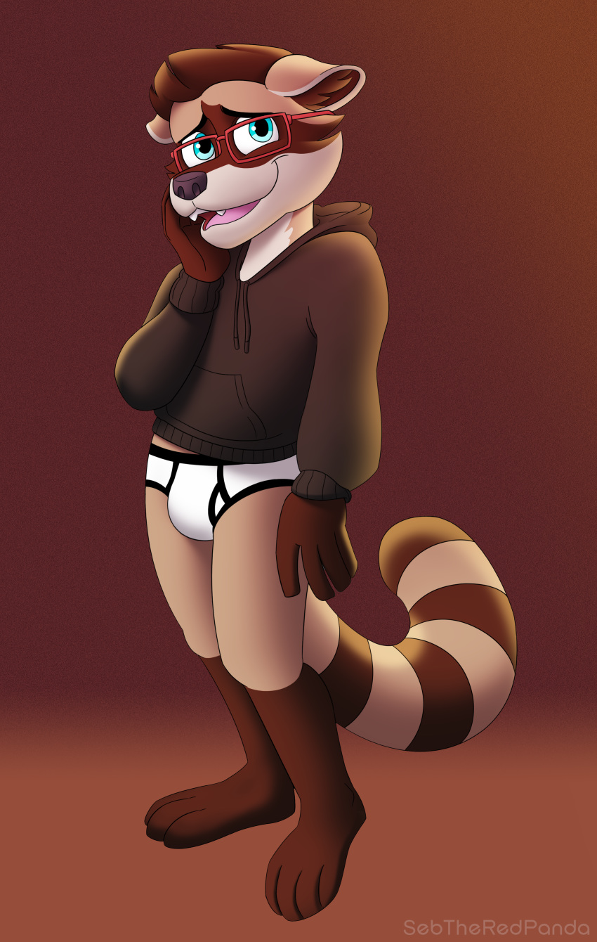 absurd_res anthro black_clothing black_hoodie black_topwear briefs bulge clothing drawyourfursona hi_res hoodie hoodie/briefs_meme huge_filesize male mammal meme meme_clothing procyonid raccoon sebtheredpanda simple_background solo standing topwear underwear white_clothing white_underwear