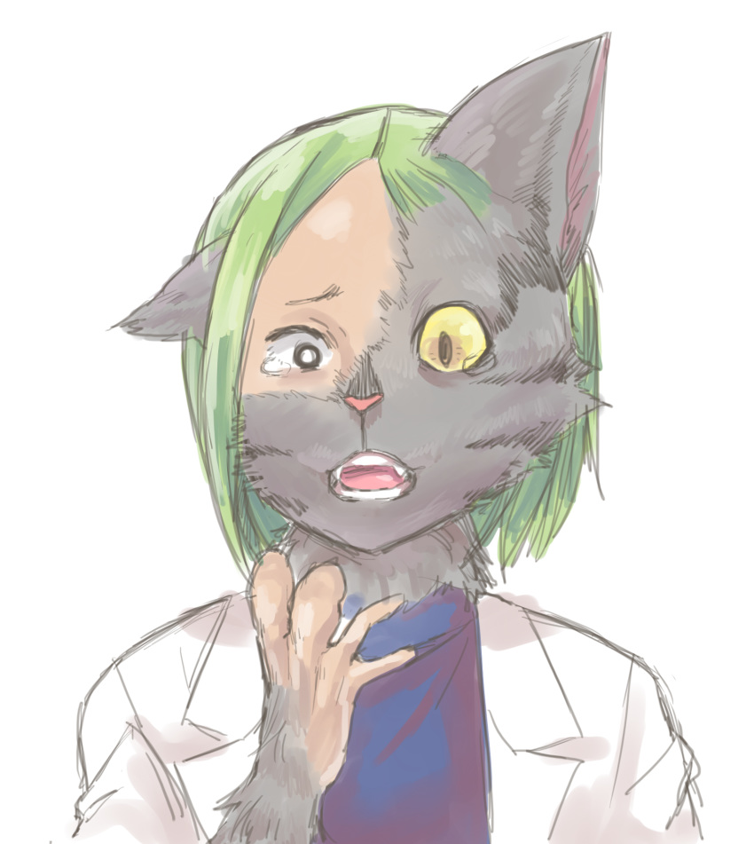 2016 ambiguous_gender bodily_fluids domestic_cat felid feline felis fur green_hair hair hi_res human mammal menma911 mid_transformation open_mouth simple_background solo species_transformation surprise tears transformation white_background yellow_sclera