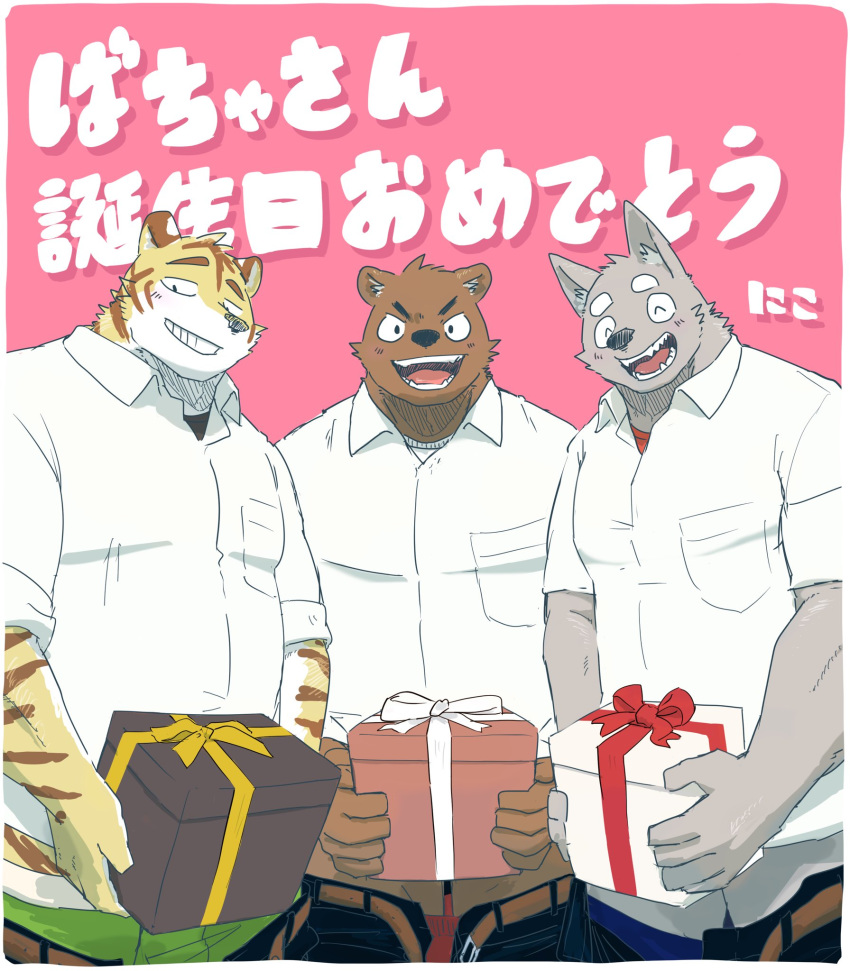 2020 anthro barazoku blush bottomwear box canid canine clothing dick_in_a_box eyes_closed felid group hi_res japanese_text kemono male mammal nico26b pantherine pants present_box text tiger underwear ursid