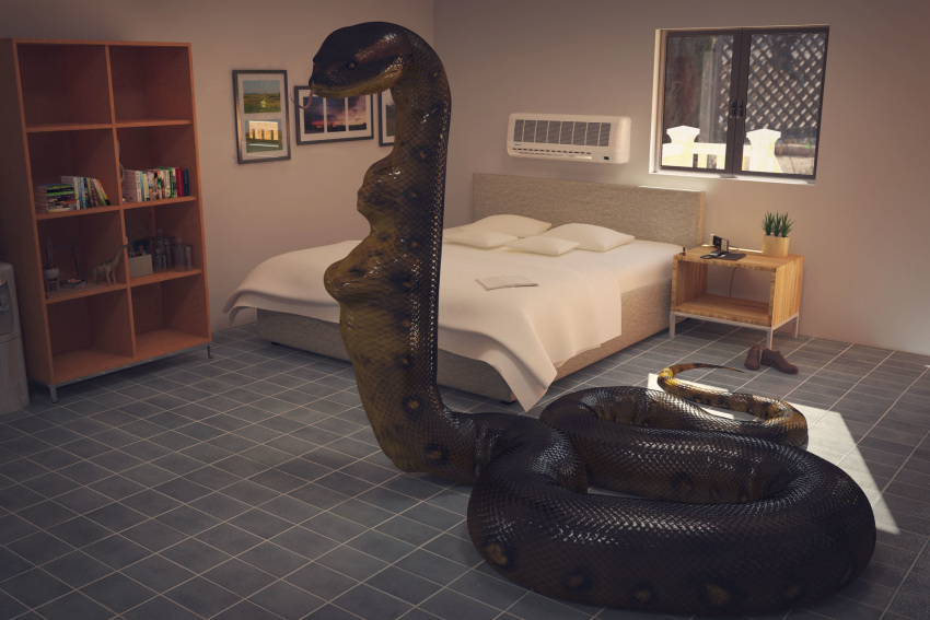 2020 3:2 3d_(artwork) after_vore akaikosh ambiguous_gender anaconda bed bedroom black_body black_scales black_spots boa_(snake) boinae book bookshelf clothing detailed_background digital_media_(artwork) duo feral footwear forked_tongue furniture green_body green_scales hi_res inside long_tongue multicolored_body multicolored_scales nightstand pillow pink_tongue reptile scales scalie serpentine shoes snake solo_focus spots spotted_body spotted_scales tongue tongue_out vore window yellow_body yellow_scales