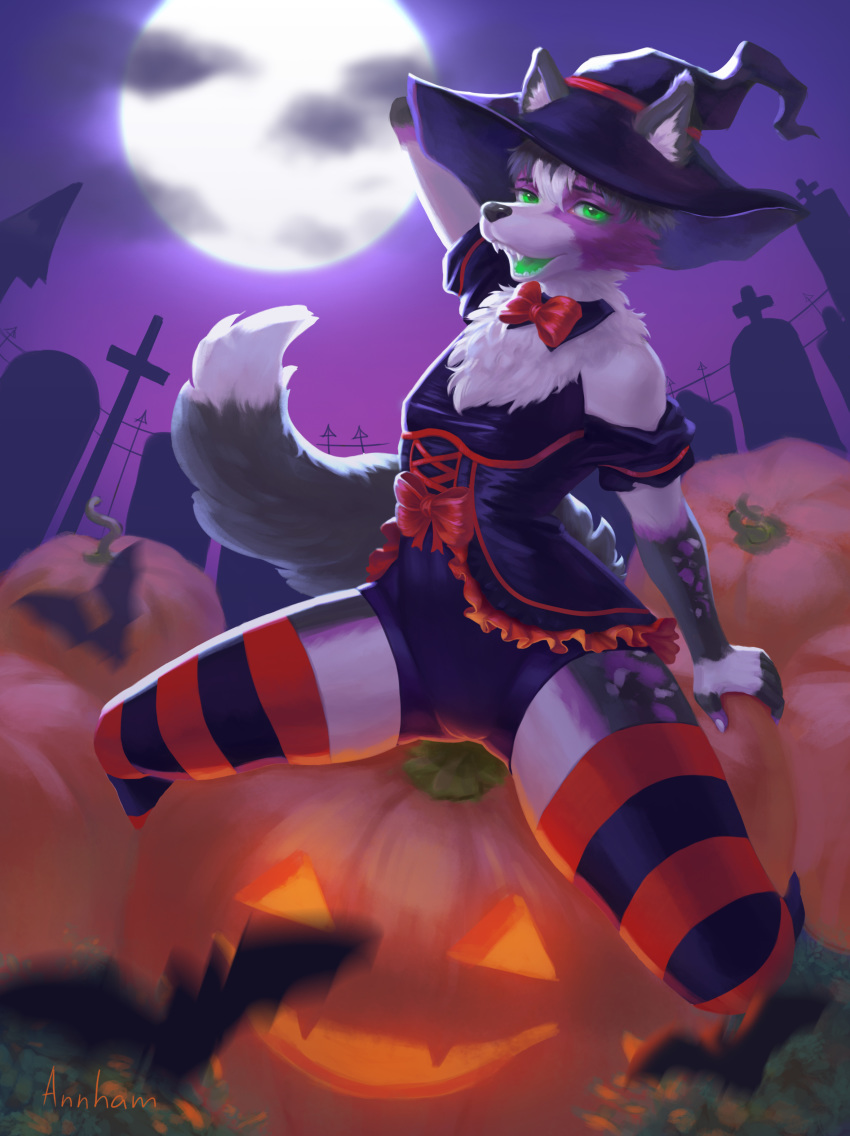 absurd_res anthro bow_tie brinxt canid canine canis clothed clothing crossdressing domestic_dog food fruit glowing glowing_eyes graveyard green_eyes hair hat headgear headwear hi_res legwear looking_at_viewer magic_user male mammal moon plant pumpkin smile solo spooky_(disambiguation) stockings witch witch_hat