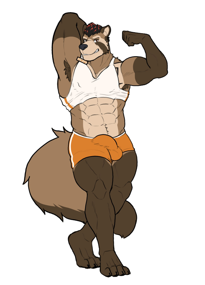 abs anthro armpit_hair biceps biped black_hair black_nose body_hair bottomwear brown_body brown_fur brown_hair bulge canid canine claws clothing dipstick_tail facial_markings fur gloves_(marking) hair hands_behind_head head_markings hi_res highlights_(coloring) himbo himbo_hooters hotpants kintama_ryo light_brown_fur long_tail male mammal markings midriff multicolored_body multicolored_fur multicolored_tail muscular muscular_anthro muscular_male name_tag nipple_outline pinup pose purpledragonrei quads raccoon_dog shirt shorts simple_background smile smirk solo tank_top tanuki tattoo tattoo_on_chest topwear triceps two_tone_body two_tone_fur white_background white_clothing white_shirt white_topwear