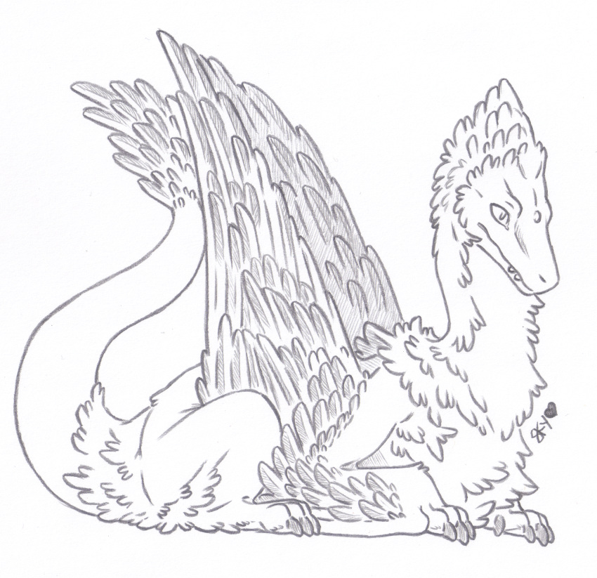 ambiguous_gender butt_tuft chest_tuft claws dragon feathered_wings feathered_wyvern feathers feral fluffy hi_res line_art lying male_(lore) neck_tuft paws signature simple_background skyfifer solo tail_tuft teeth traditional_media_(artwork) tuft white_background wings wyvern