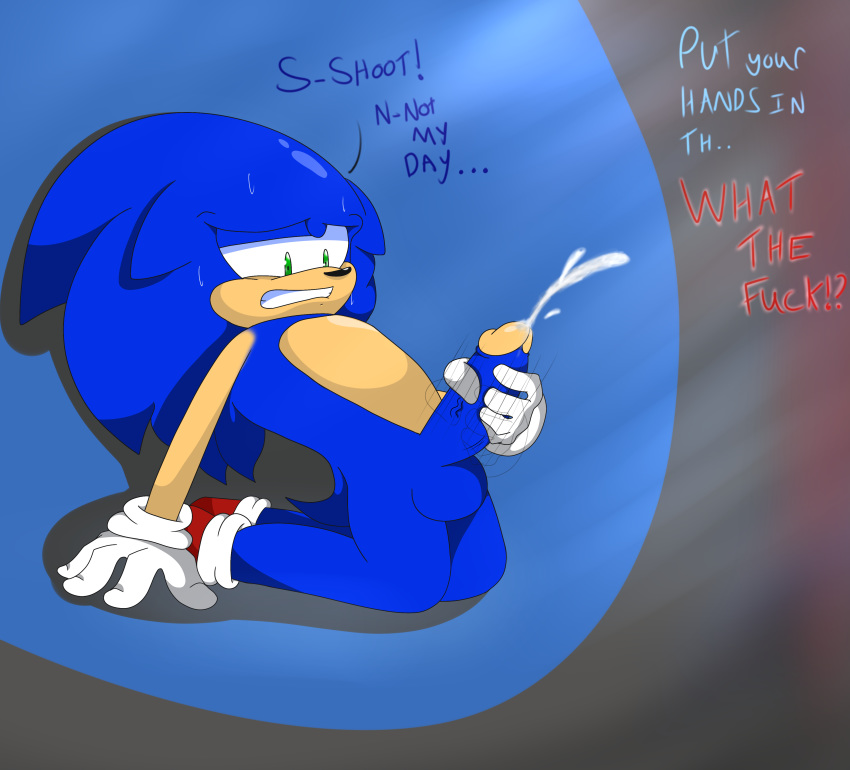 absurd_res anthro balls bodily_fluids caught cum dialogue flamez genital_fluids genitals hi_res male masturbation penis public_masturbation solo sonic_the_hedgehog sonic_the_hedgehog_(series) sweat