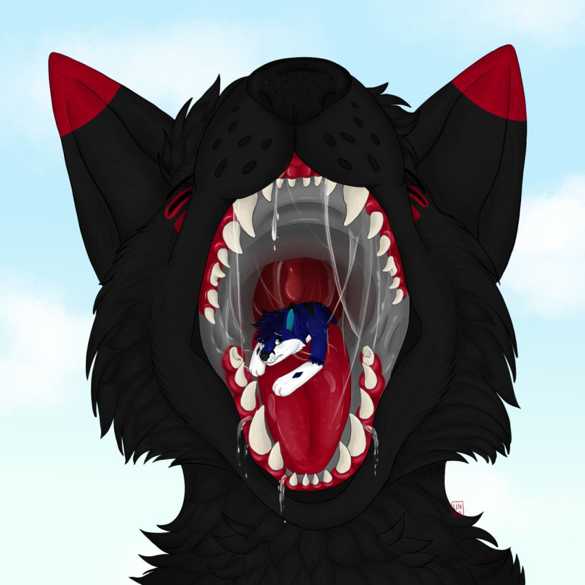 anthro black_body black_fur black_nose blue_body blue_fur bodily_fluids canid canine canis chik0 chikorainfox demon domestic_dog duo eating fangs feral focus focused forced fox fur hi_res macro macromicro male male/male mammal mawplay micro micro_on_macro micromacro mouth_shot open_mouth oral predator/prey prey saliva saliva_drip saliva_on_tongue samuelwolfo sex sharp_teeth size_difference swallowing teeth teeth_showing tongue tongue_out vore vore_sex wolf zeromusfur