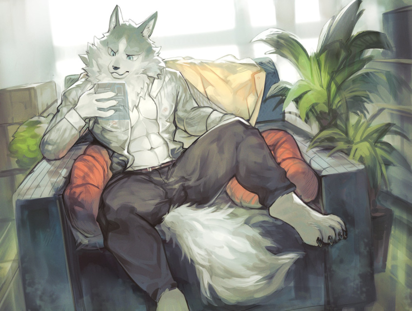 2020 abs anthro blue_eyes bottomwear brand_new_animal canid canine canis claws clothed clothing day digital_media_(artwork) digital_painting_(artwork) fur furniture grey_body grey_fur hi_res holding_object inside kemono kiyosan_(artist) looking_at_object male mammal muscular muscular_anthro muscular_male neck_tuft netflix open_clothing open_shirt open_topwear pants pecs pillow plant potted_plant reading shirou_ogami shirt sitting sofa solo spread_legs spreading studio_trigger topwear translucent_object tuft wolf