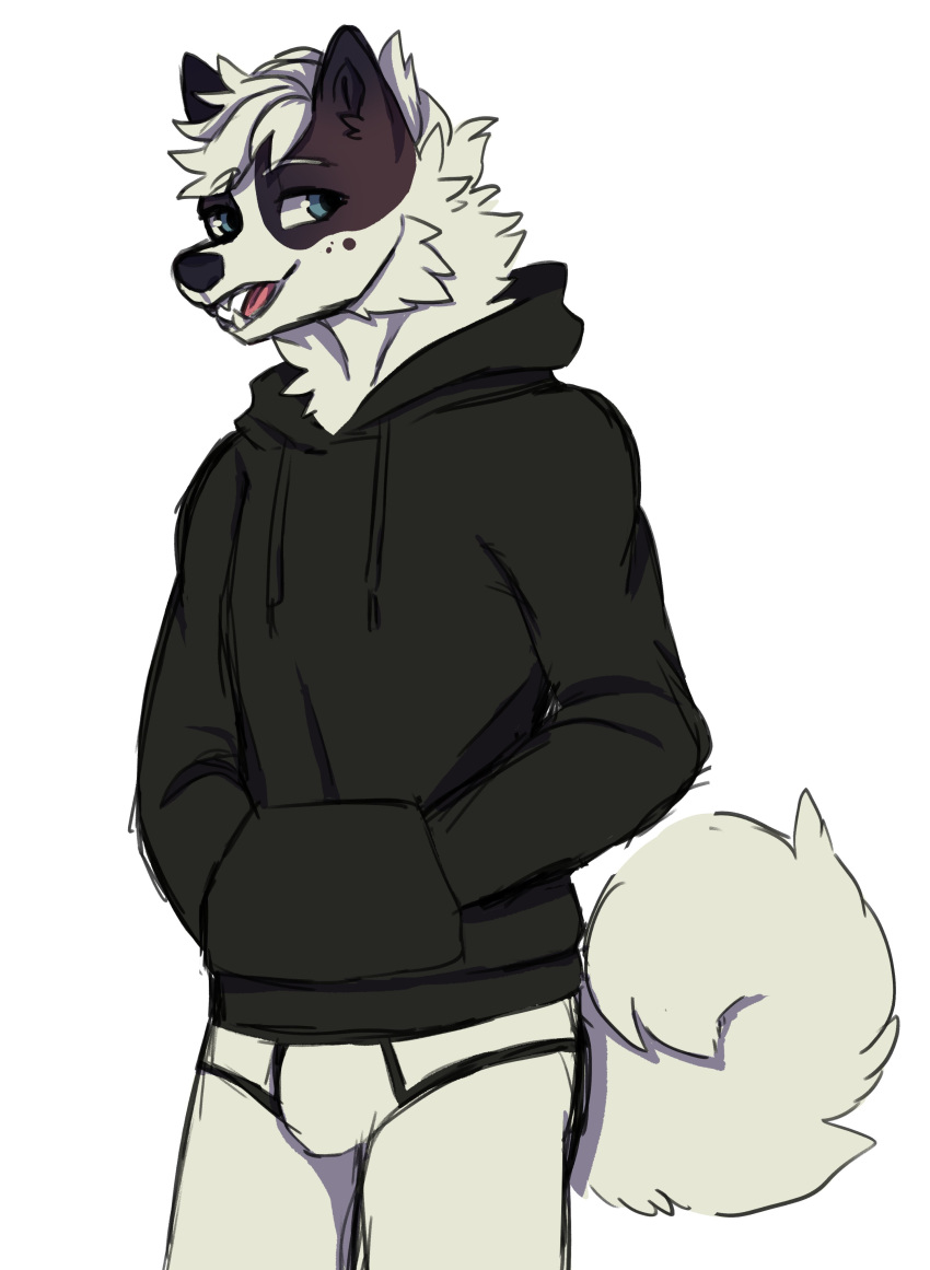 absurd_res anthro black_clothing black_hoodie black_topwear briefs bulge canid canine canis clothing domestic_dog drawyourfursona hi_res hoodie hoodie/briefs_meme male mammal meme meme_clothing simple_background solo standing sutida124 topwear underwear white_clothing white_underwear