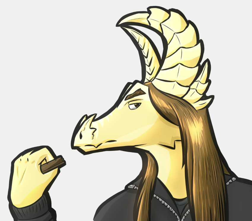 anthro bjorn_(makaronnie) black_clothing brown_eyes brown_hair candy cel_shading chocolate clothing dragon eyebrows food hair horn jacket long_hair makaronnie male norwegian_forktail scalie shaded simple_background solo topwear yellow_body