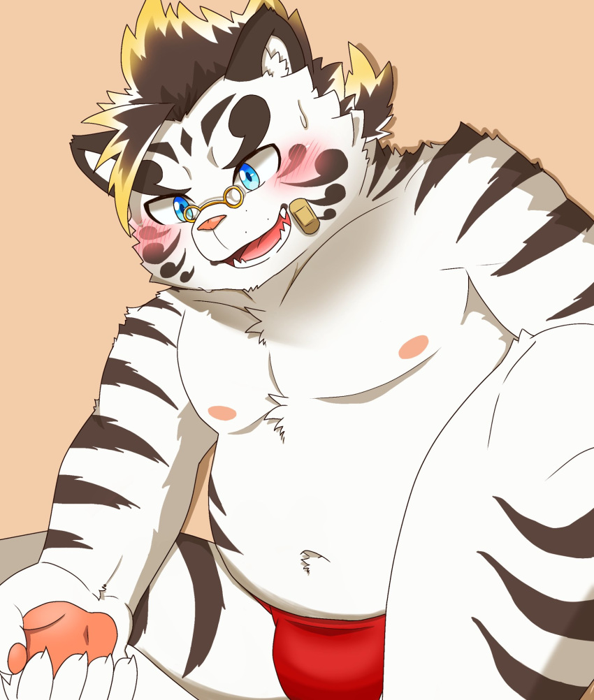 2020 anthro belly blue_eyes blush bodily_fluids clothing eyewear felid glasses hi_res ib_kasanohanami kemono licho_(tas) male mammal moobs navel nipples overweight overweight_anthro overweight_male pantherine simple_background solo sweat tiger tokyo_afterschool_summoners underwear video_games