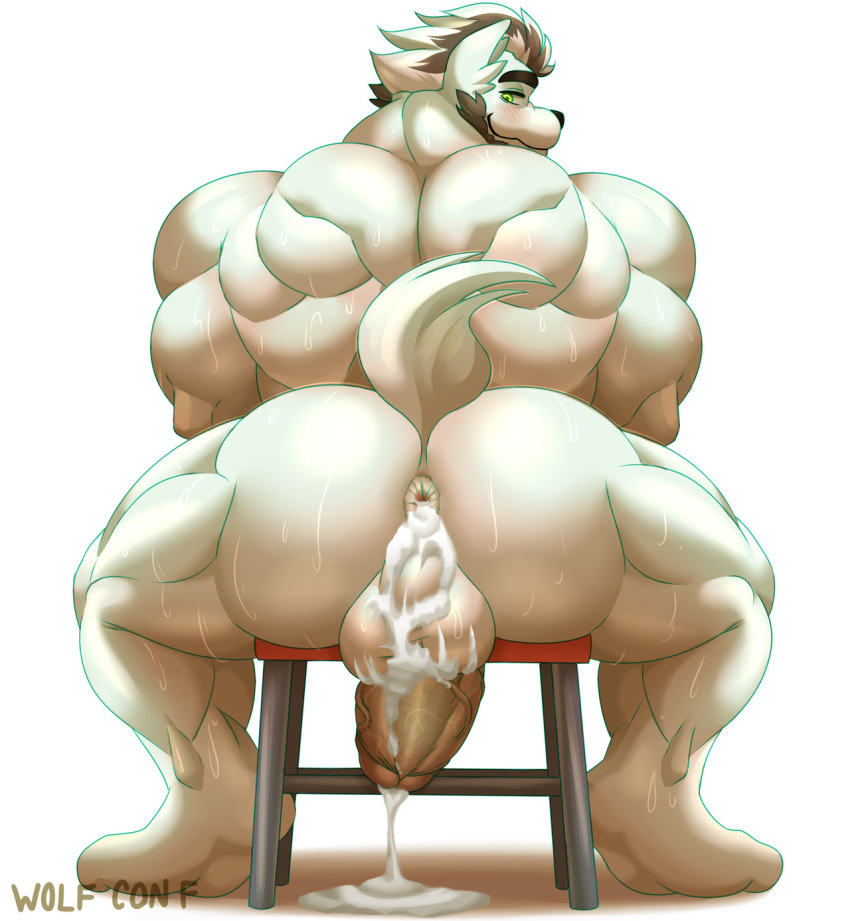 anthro anus back_muscles backsack balls beard big_butt big_muscles big_penis bodily_fluids butt canid canine canis chair chode cum cum_in_ass cum_in_penis cum_inside cum_on_balls cum_on_ground ejaculation facial_hair furniture genital_fluids genitals hair hi_res huge_muscles huge_penis looking_at_viewer male mammal multicolored_hair muscular muscular_anthro muscular_male penis presenting presenting_hindquarters simple_background sitting solo stool thick_penis two_tone_hair vein veiny_penis watermark white_background wolf wolfconfnsfw
