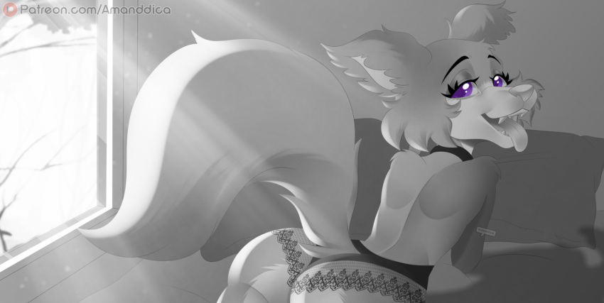2020 amanddica anthro beastars bed butt canid canine canis clothed clothing collar countershade_butt countershade_face countershading digital_media_(artwork) female fur furgonomics furniture grey_body grey_fur greyscale hi_res juno_(beastars) lingerie looking_at_viewer looking_back lying mammal monochrome on_bed on_front open_mouth panties pillow presenting presenting_hindquarters raised_tail solo sunrays teeth tongue tongue_out topless topless_female underwear wolf