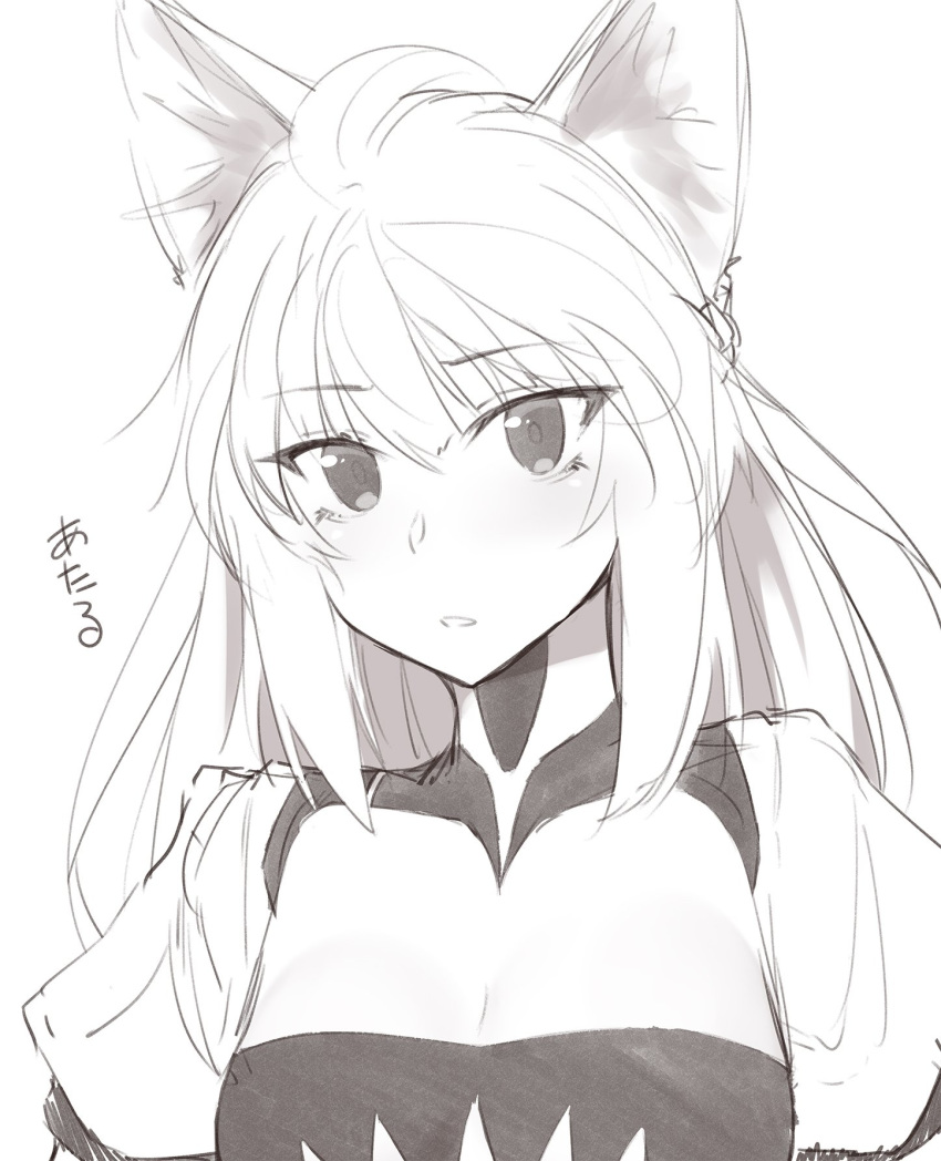 1girl ahoge animal_ears atalanta_(fate) braid breasts cat_ears cleavage fate/apocrypha fate_(series) french_braid greyscale head_tilt highres ibuki_notsu long_hair looking_at_viewer monochrome parted_lips puffy_short_sleeves puffy_sleeves short_sleeves simple_background small_breasts solo upper_body white_background