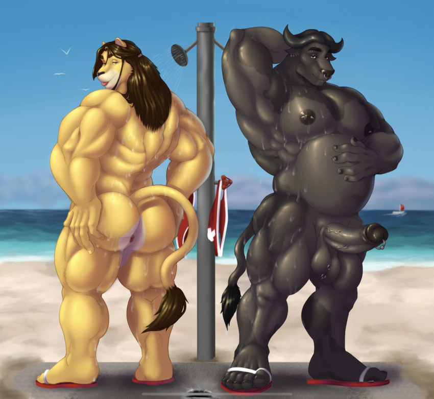 5_fingers 5_toes alternate_version_at_source anthro areola back_muscles balls beach bedroom_eyes biceps big_balls big_muscles big_penis black_areola black_body black_eyebrows black_fur black_nails black_nipples black_nose blep bovid bovine brown_body brown_eyes brown_fur bubble_butt buffalo_(disambiguation) butt clothing colored_nails ear_piercing ear_ring eyebrows facial_piercing felid fingers flip_flops footwear footwear_only fur genital_piercing genitals grey_balls grey_body grey_fur grey_penis hair hand_behind_head hand_on_butt hand_on_stomach hi_res horn huge_muscles humanoid_genitalia humanoid_penis lion looking_at_viewer male mammal mane mostly_nude musclegut muscular muscular_anthro muscular_male nails narrowed_eyes navel nipple_piercing nipples nose_piercing outside pantherine pecs penis penis_piercing piercing ponytail presenting presenting_hindquarters prince_albert_piercing quads rear_view sandals scrotum_piercing seaside seductive septum_piercing serratus shower smile standing tail_tuft thickkitty15 three-quarter_view toenails toes tongue tongue_out triceps tuft white_body white_fur yellow_body yellow_eyes yellow_fur